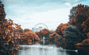 Enjoy an autumn break in the UK Enjoy an autumn break in the UK